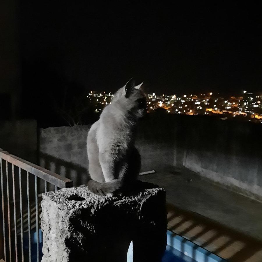 Casa De Temporada Villa São Lourenço Kültér fotó