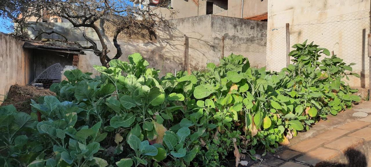 Casa De Temporada Villa São Lourenço Kültér fotó